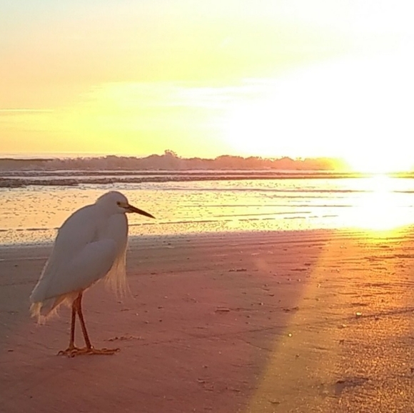 Meet your Posher, Amber - Picture 5 of 5